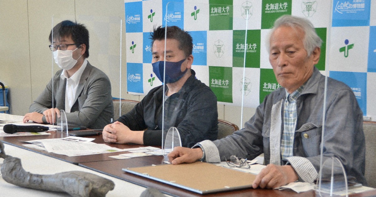 岸本真吾ページ 0c10.jpg?1