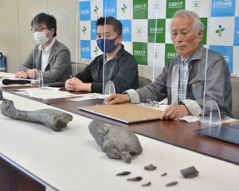 岸本真吾ページ 毎小ニュース：話題 新種の恐竜、ヤマトサウルス（その2止） 化石に足