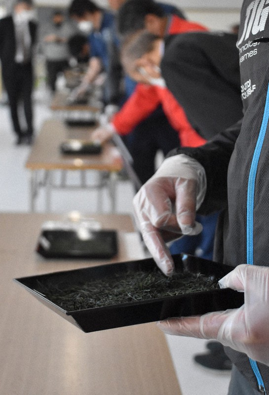 ビニール手袋越しに茶葉に触れて出来具合を確認する入札参加者=埼玉県入間市上谷ケ貫で