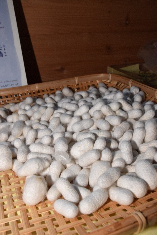 北陸ｆａｓｈｉｏｎ ６ 城端の絹織物 産地復活へ 商品開発 松井紀子さん 富山 南砺 毎日新聞