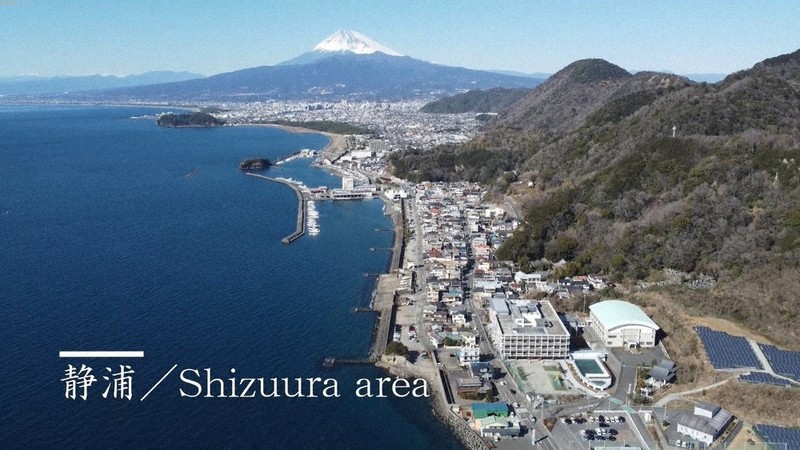 千本松原 海越し富士山 ドローン使い沼津pr フリー素材も提供 毎日新聞