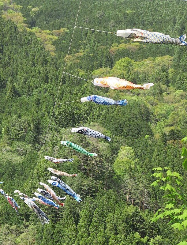 小菅川をのぼるように元気に舞うこいのぼり=山梨県小菅村で2021年4月30日、山本悟撮影