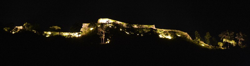 ライトアップされ、夜空に浮かび上がる津和野城跡の石垣=島根県津和野町で2021年5月6日午後8時50分、萱原健一撮影