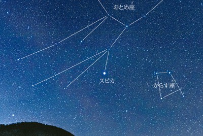 大西浩次（おおにしこうじ）さん撮影（さつえい）