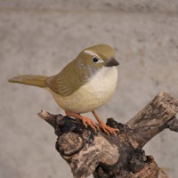 ok0330さま専用 ハヤブサとオオルリ 木彫りの野鳥　野鳥彫刻 ok0330さま専用 ハヤブサとオオルリ 木彫りの野鳥 野鳥彫刻