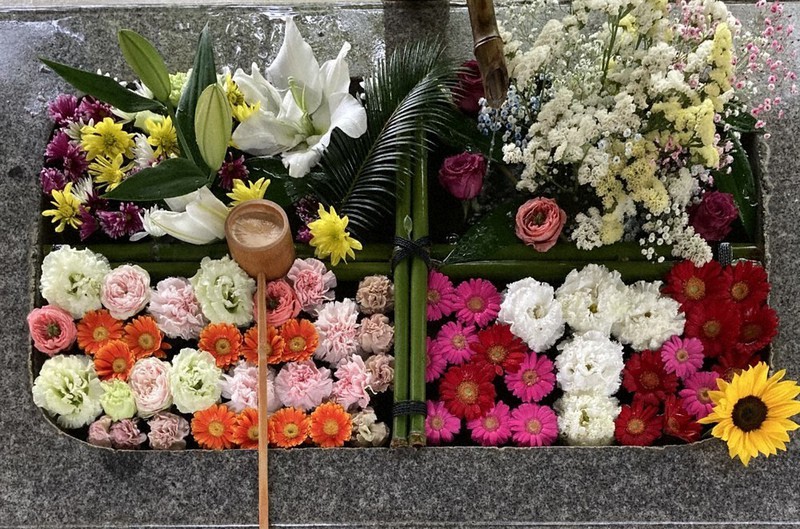 御朱印は花柄恐竜 勝浦 坂本八幡神社 １７日まで限定頒布 相次ぐ化石発見ちなみ 徳島 毎日新聞