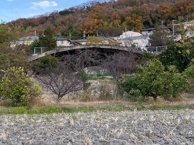遠目に奇妙な物体が見えた。これが掩体壕=八尾市垣内4で、松井宏員撮影