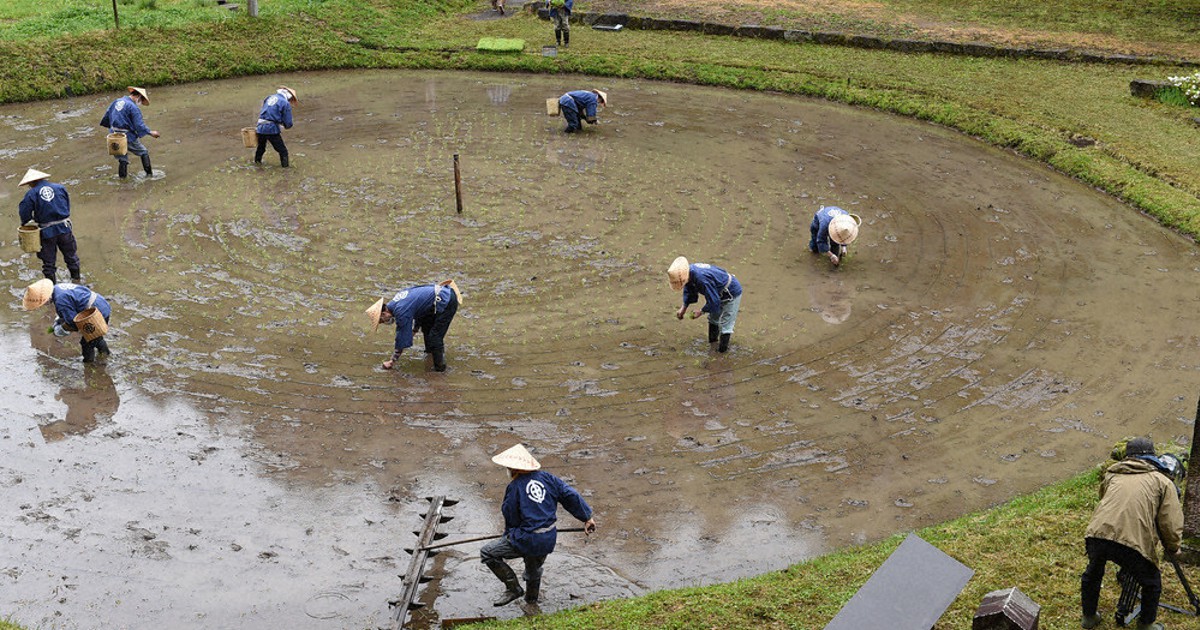 丸～い田んぼ、丸～く田植え 岐阜・高山の車田で | 毎日新聞