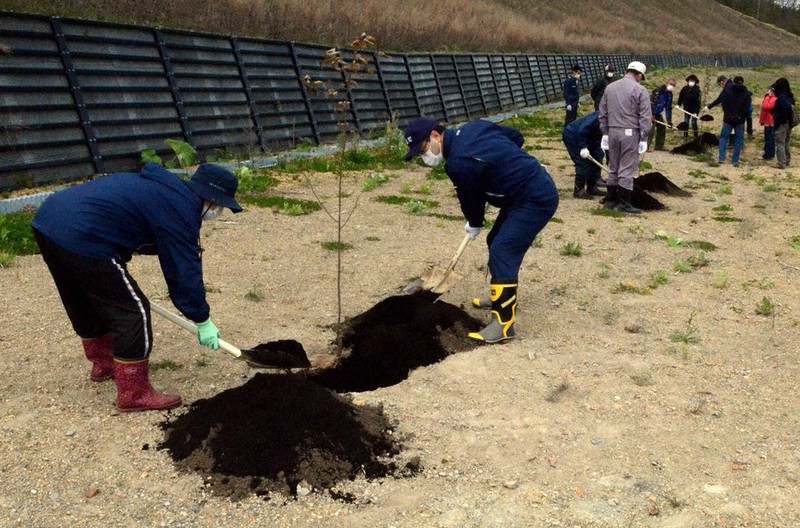 シロヤマザクラの苗木に土をかける参加者=北海道厚真町吉野地区で2021年5月15日、平山公崇撮影