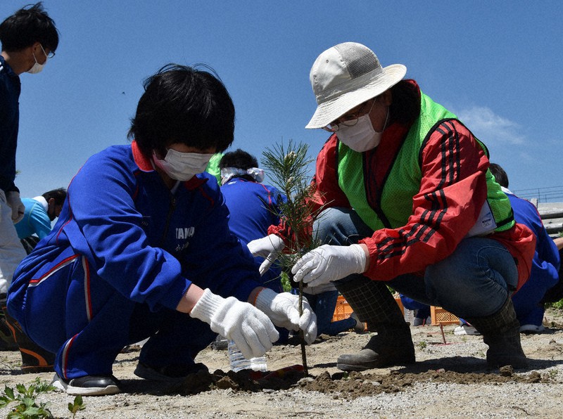 高田松原の再生を願い、クロマツを植樹する高田高の生徒と住民=2021年5月18日午前11時43分、中尾卓英撮影