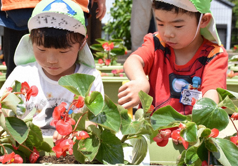 聖火リレーのスタート地点である勝草橋公園でベゴニアの苗を植える園児たち(画像の一部を加工しています)=静岡県藤枝市で2021年5月18日、佐々木彩夏撮影
