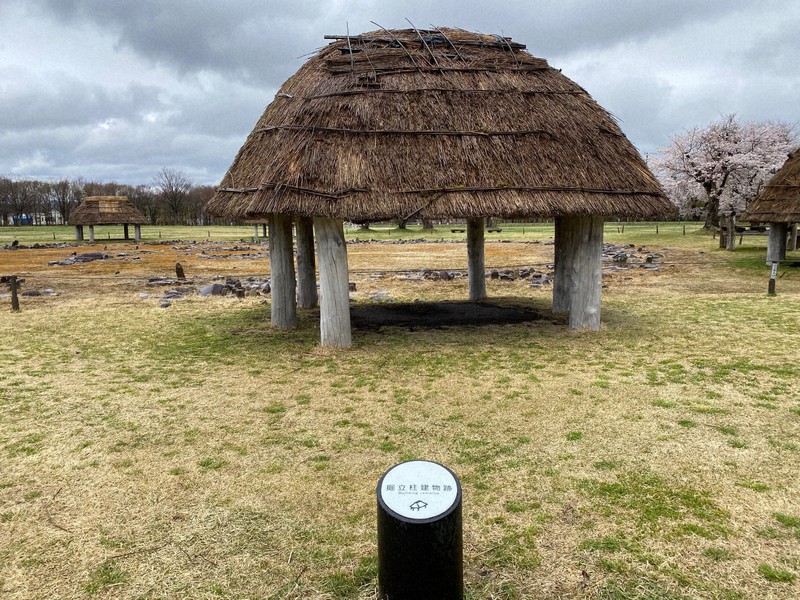 「大湯環状列石」内にある万座環状列石近くで復元された建物=秋田県鹿角市で2021年4月25日、佐藤岳幸撮影