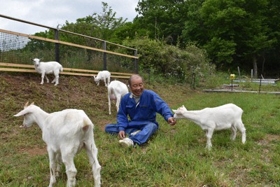 「夢ある場所に」　苦難乗り越えヤギ牧場オープンへ　福島・葛尾