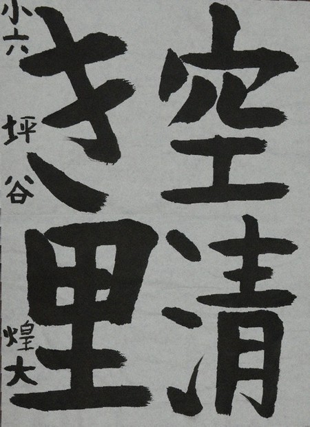坪谷煌大さんの作品