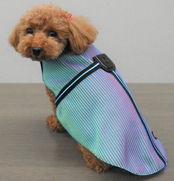 夜の散歩も安全ワン 越前市の企業 光るペット用ウエア開発 福井 毎日新聞