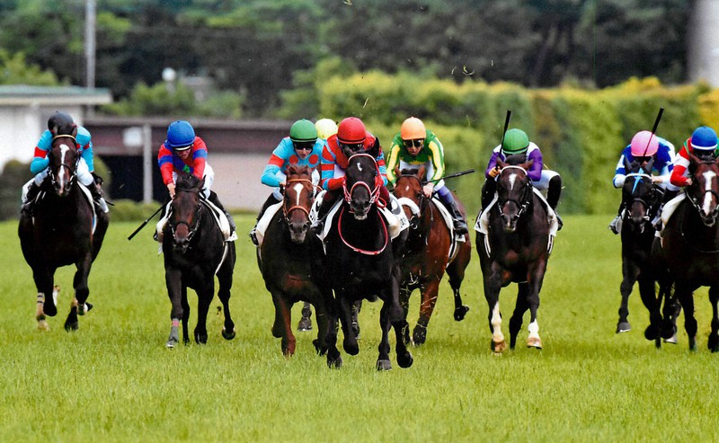 ウマ女十番勝負 10 日本ダービー この馬しか勝たん エフフォーリア 毎日新聞 ウマ女十番勝負 10 日本ダービー この馬しか勝たん エフフォーリア 毎日新聞