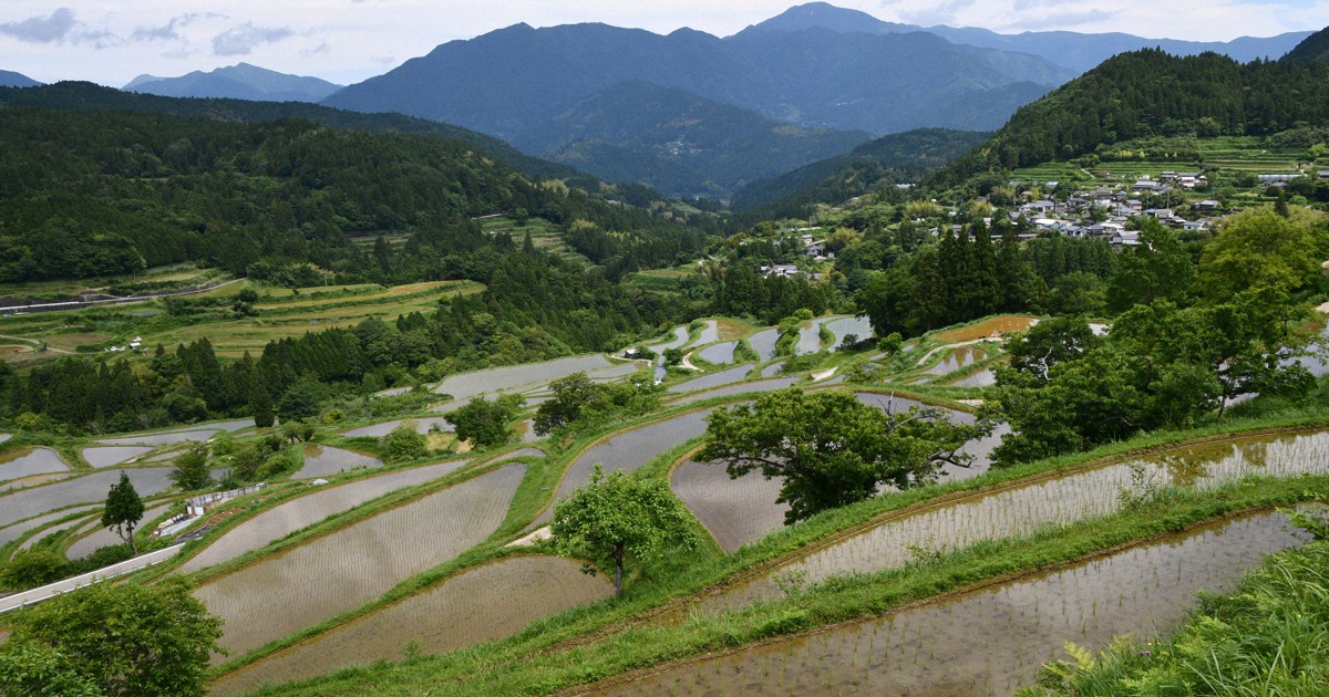 田植えの季節 梅雨の合間に輝く棚田 高知・本山 | 毎日新聞