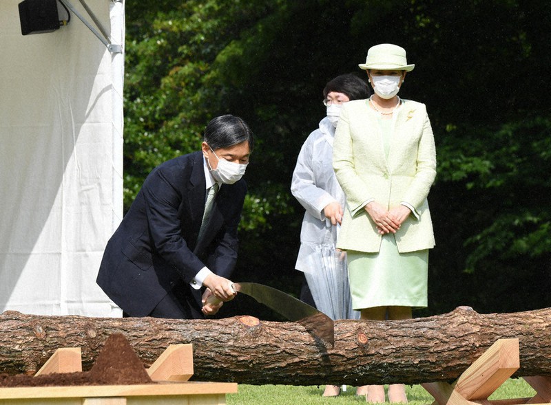 植樹祭に両陛下、リモートで出席 | 毎日新聞