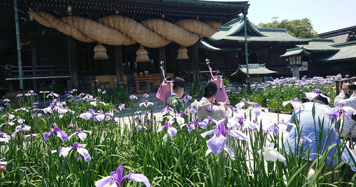 古式ゆかしく菖蒲初刈り神事 宮地嶽神社 福岡 毎日新聞
