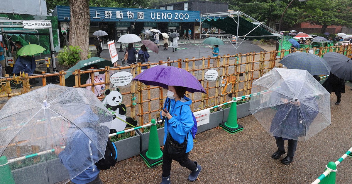 Tokyo S Ueno Zoo Reopens After 5 Month Pandemic Hiatus Delighting Panda Fans The Mainichi