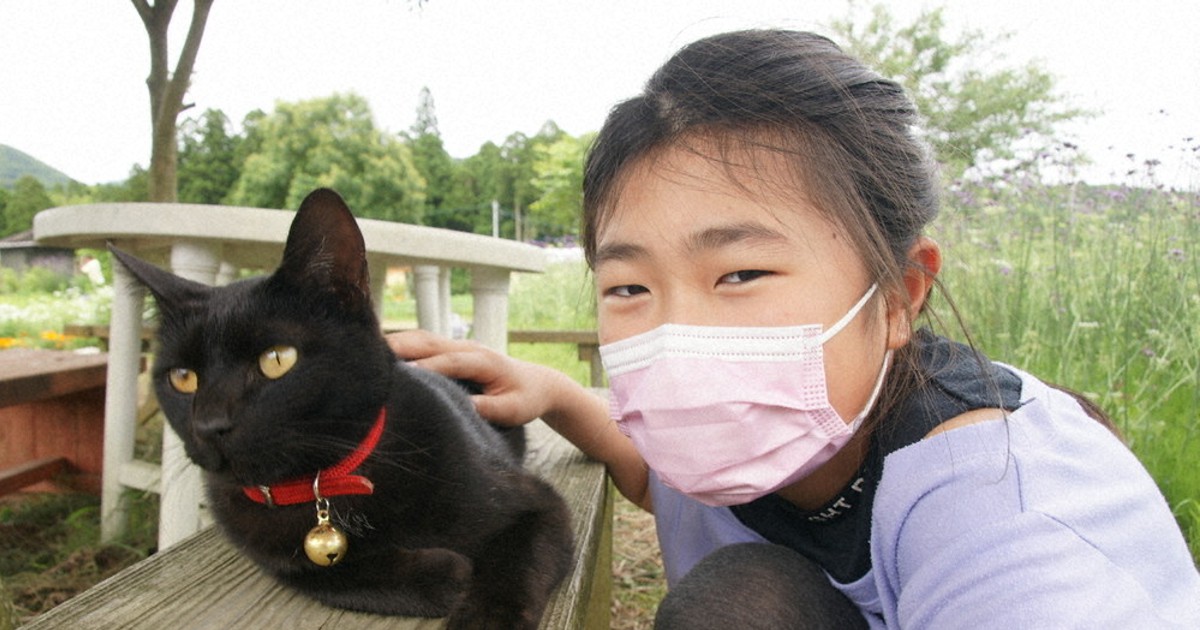 黒猫ページ announcement-thumbnail-p155210