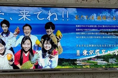 那覇空港へ掲出した東京農業大学の看板
