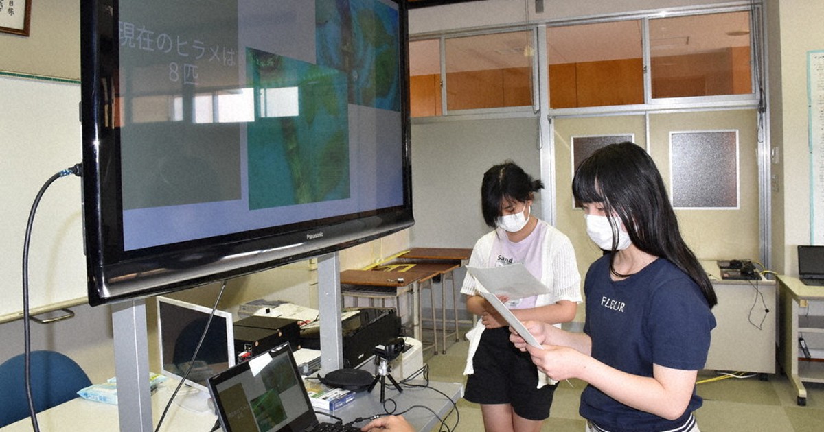 ヒラメ養殖 3校交流 活動を発表 オンラインで 宇都宮 平石中央小 栃木 毎日新聞