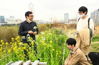 武蔵野大学の屋上菜園=近藤ヒデノリさん撮影