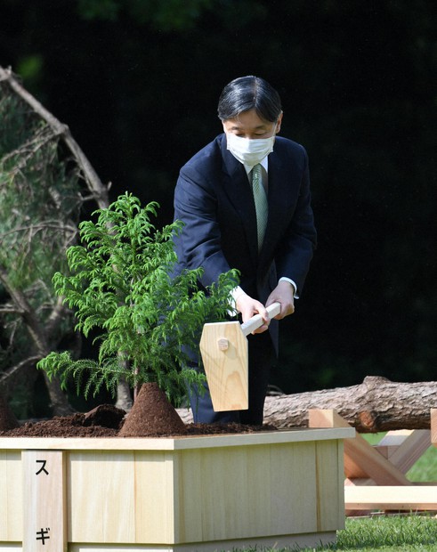 皇室の活動：（5月29日～6月11日）植樹祭、リモートでも一体感 | 毎日新聞