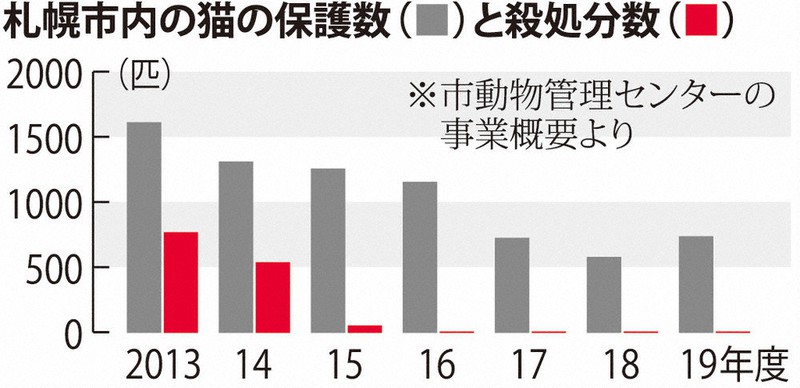 保護猫の去勢 不妊専門クリニック さくら耳 は手術の証 江別 北海道 毎日新聞