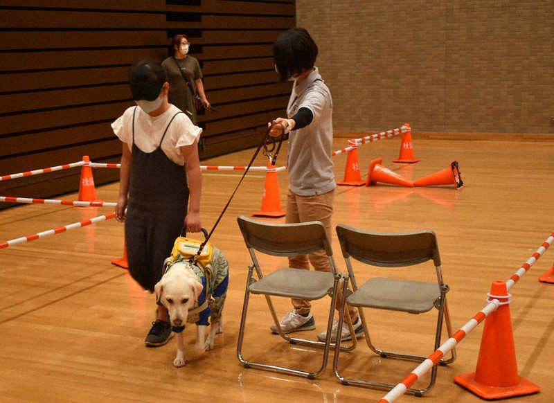 アイマスクを装着して啓発犬と一緒に歩く参加者=茨城県阿見町本郷1の本郷ふれあいセンターで2021年6月12日、庭木茂視撮影