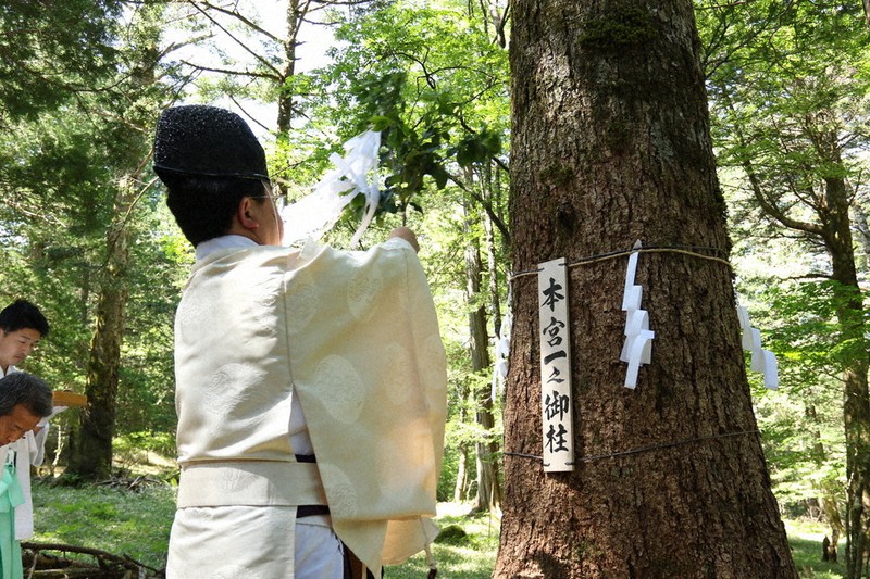 写信州：30年ぶり、御小屋山で神木選び 御柱祭に向け厳粛に ／長野 