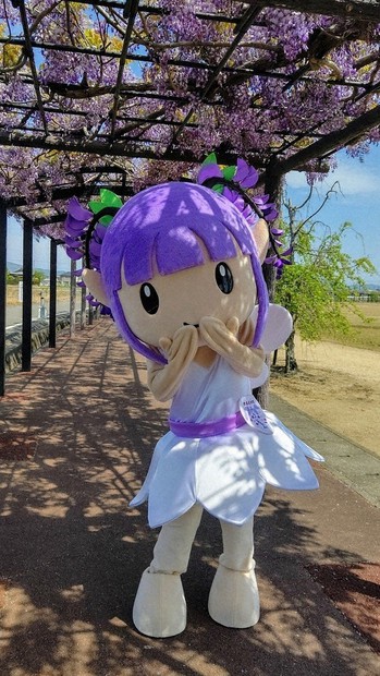 藤岡マスコットキャラクター　ふじっこ　ふうちゃん　ぬいぐるみ　藤っ子 ふじっこふうちゃん | 豊田市のカウンセリングダイエット 薬の