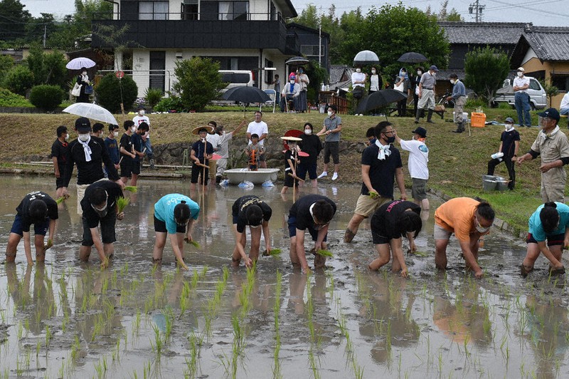 フェースシールドやマスクをつけて田植えや田楽の練習をする「役人」と指導する谷崎豊師匠(右端)=三重県志摩市磯部町迫間で2021年6月13日、下村恵美撮影