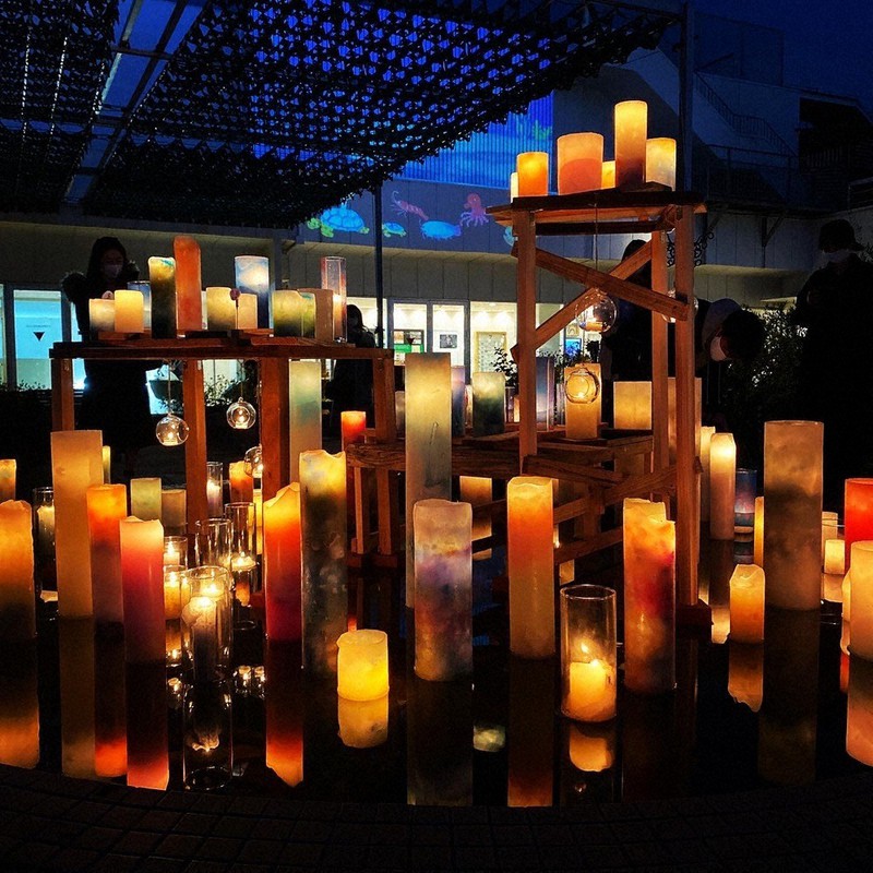 あすから鹿児島でキャンドルの催し 環境月間で企画 鹿児島 毎日新聞