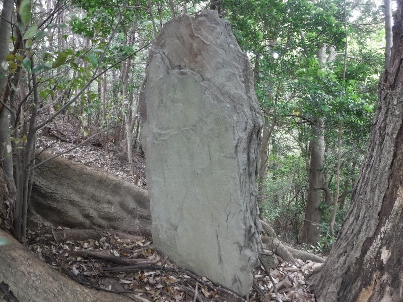 古代山陰道の調査で見つかった、立石の可能性がある岩=鳥取県埋蔵文化財センター提供