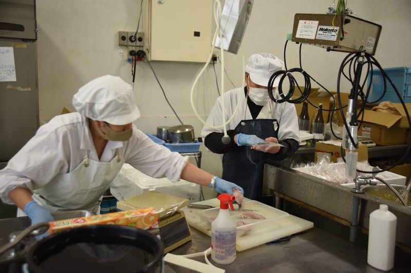 目指せ「持続可能な漁業」 売り上げゼロから未利用魚宅配で再起へ