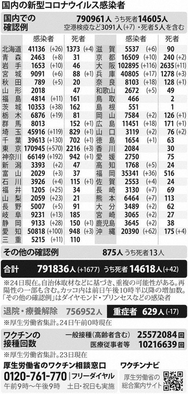 国内の新型コロナウイルス感染者