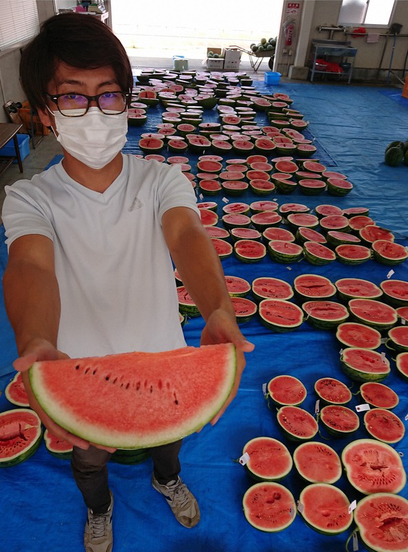 タネまでおいしい 開発年 種が極小のスイカ ぷちっと 奈良 毎日新聞