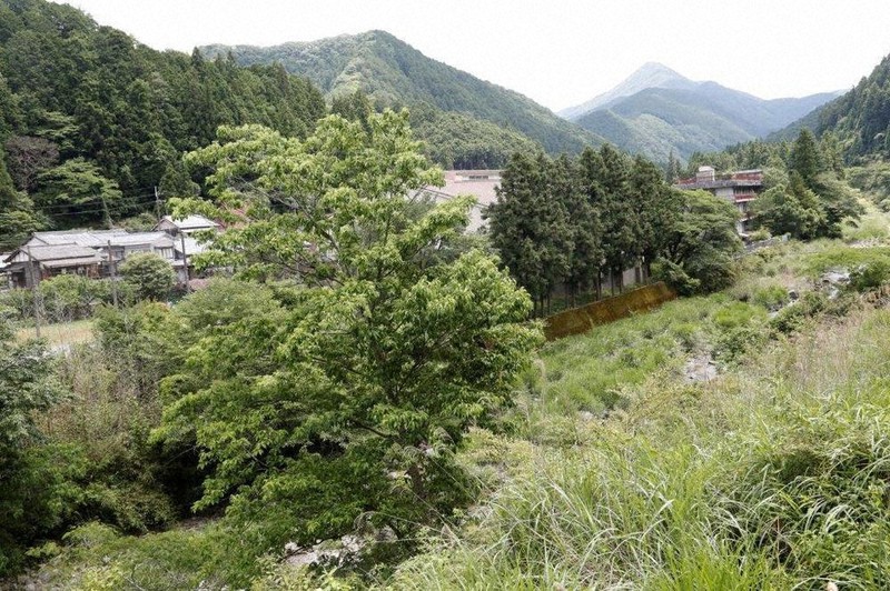 高見山(右奥、円錐形)と高見川。伊勢街道は左の人家の間を通る=奈良県東吉野村木津で