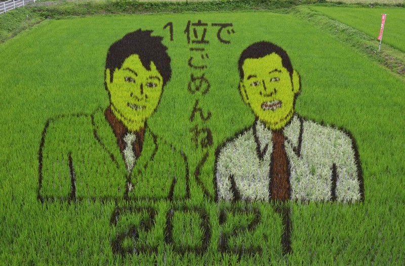お笑いコンビ「U字工事」が描かれた田んぼアート=栃木県那須塩原市西遅沢で2021年6月29日午後2時36分、湯浅聖一撮影