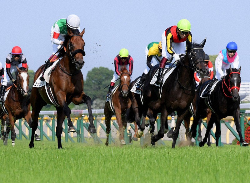 ゴール前で激しい争いとなった今年の日本ダービー。専門家は馬の急性心不全について「どの馬にも起こりうる」と指摘する=西夏生撮影