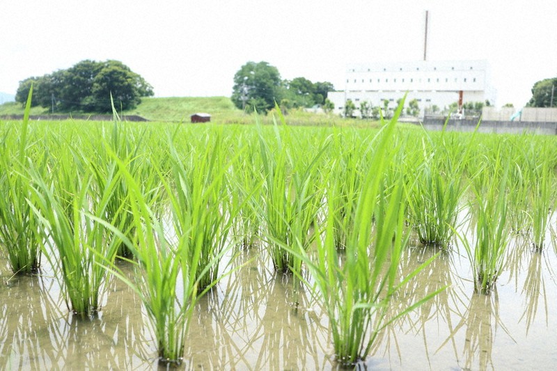 奈良市の構想では、大和郡山市清掃センター(奥)近くの農地を買い上げて新センターの建設を目指すという=奈良市七条町で、稲生陽撮影