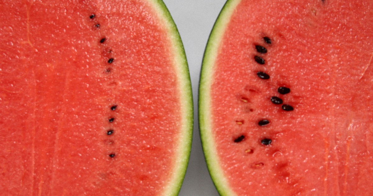 Fruitful endeavor Japanese firm's 20 yrs of work creates watermelon