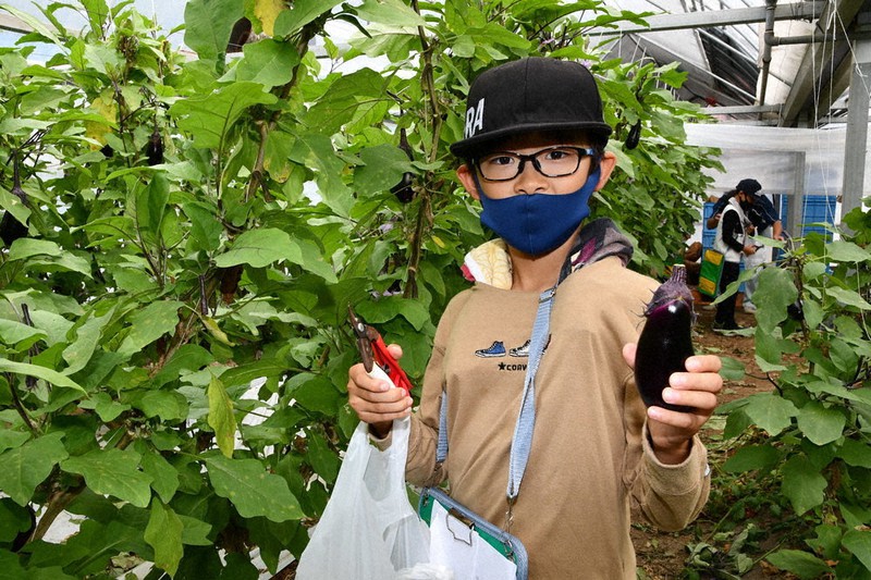 高知なすを手にしてにっこり=高知県安芸市で、井上大作撮影