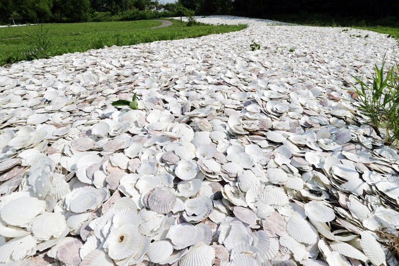 Photoリポート 古代からの問いかけ 縄文遺跡群 世界遺産登録へ 北海道 毎日新聞 Photoリポート 古代からの問いかけ 縄文遺跡群 世界遺産登録へ 北海道 毎日新聞