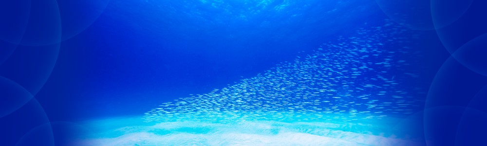 水中写真連載 So Blue | 毎日新聞