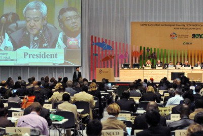 名古屋市で開催された国連生物多様性条約第10回締約国会議（COP10）＝同市熱田区の名古屋国際会議場で2010年10月29日、大竹禎之撮影