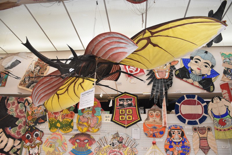 大凧 竜2匹＋健」＝？ 奥深き大凧の世界 伝統と迫力 滋賀・東近江 | 毎日新聞