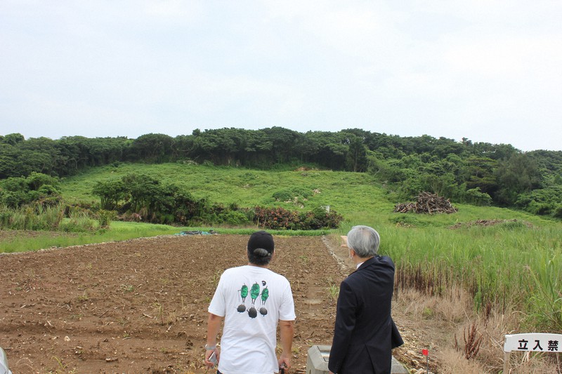 政府は沖縄本島南部の土砂を、名護市辺野古で米軍基地新設のための埋め立てに使うことを想定している。南部は沖縄戦の犠牲者の遺骨が埋まったままの可能性が高い。写真が土砂採掘の候補地=沖縄県糸満市で2021年6月21日、栗原俊雄撮影
